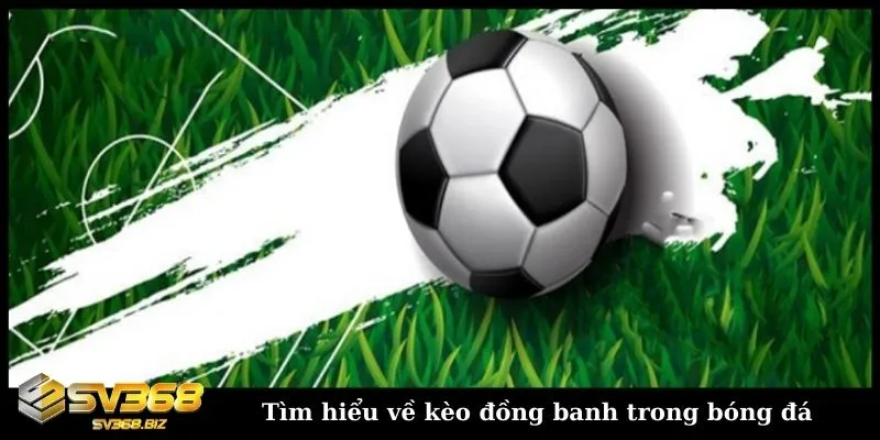 Kèo đồng banh là gì? Cách chơi kèo hòa bóng đá hiệu quả 2 Tìm hiểu về kèo cá cược hòa trong bóng đá